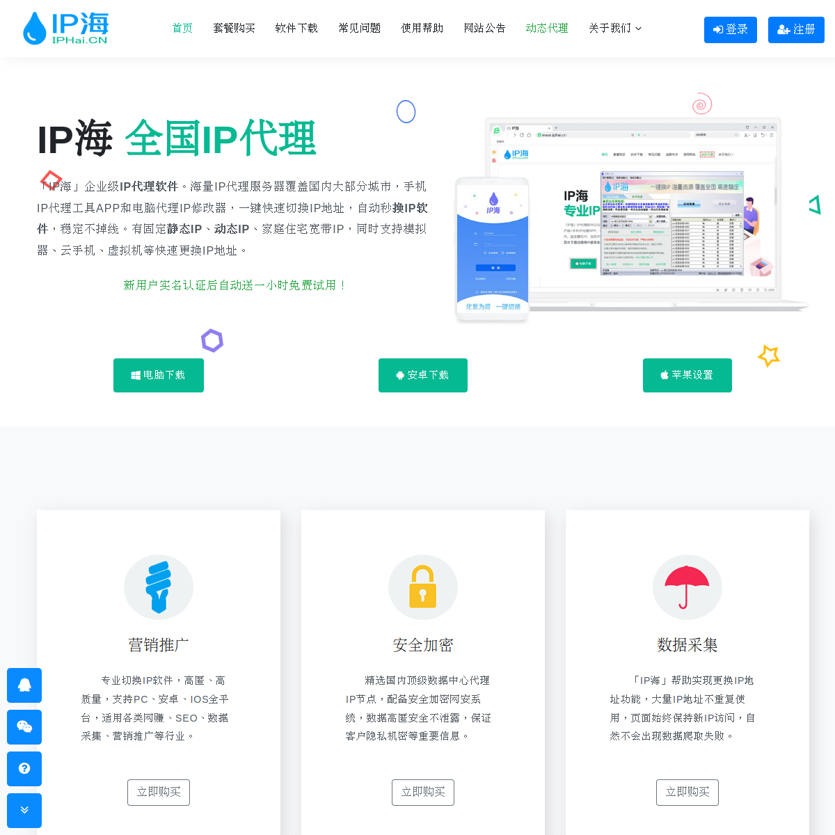 IP海
